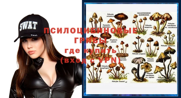 гидра Надым