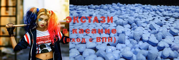 гидра Надым