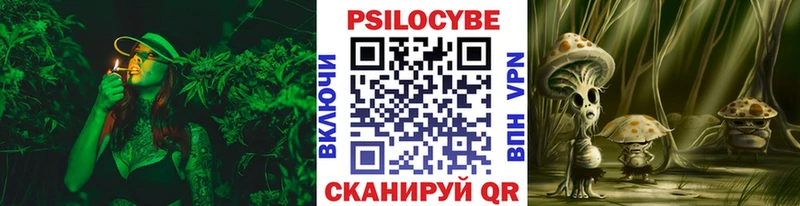 Галлюциногенные грибы мицелий  купить наркотик  МЕГА ссылка  Киров 