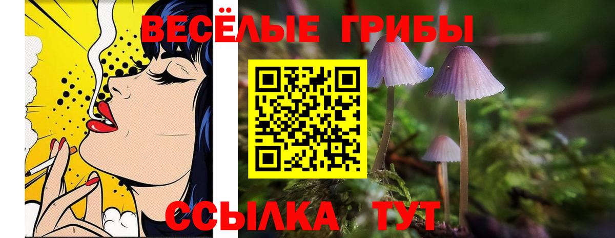 Псилоцибиновые грибы GOLDEN TEACHER  Киров  Псилоцибиновые грибы прущие грибы 