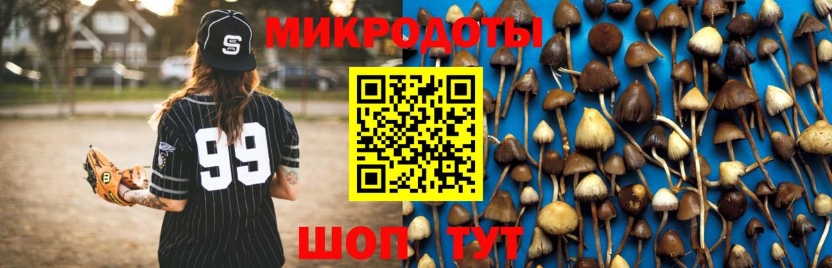 Псилоцибиновые грибы прущие грибы Киров