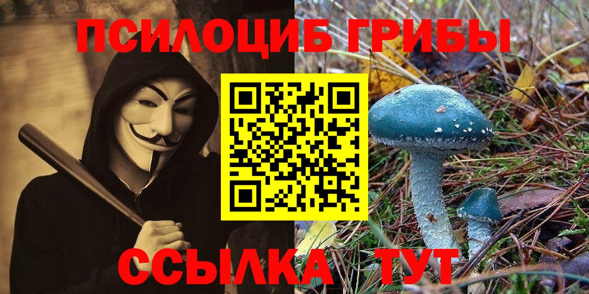 Псилоцибиновые грибы Magic Shrooms  Вход с VPN  Киров  Галлюциногенные грибы GOLDEN TEACHER 